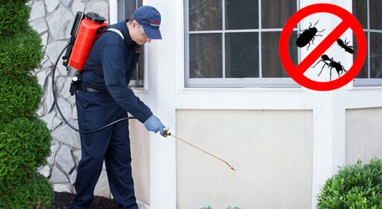 Seydikemer Gümüşkurt İlaçlama böcek ilaçlama ve haşere kontrolü — ilaclama-tr.com